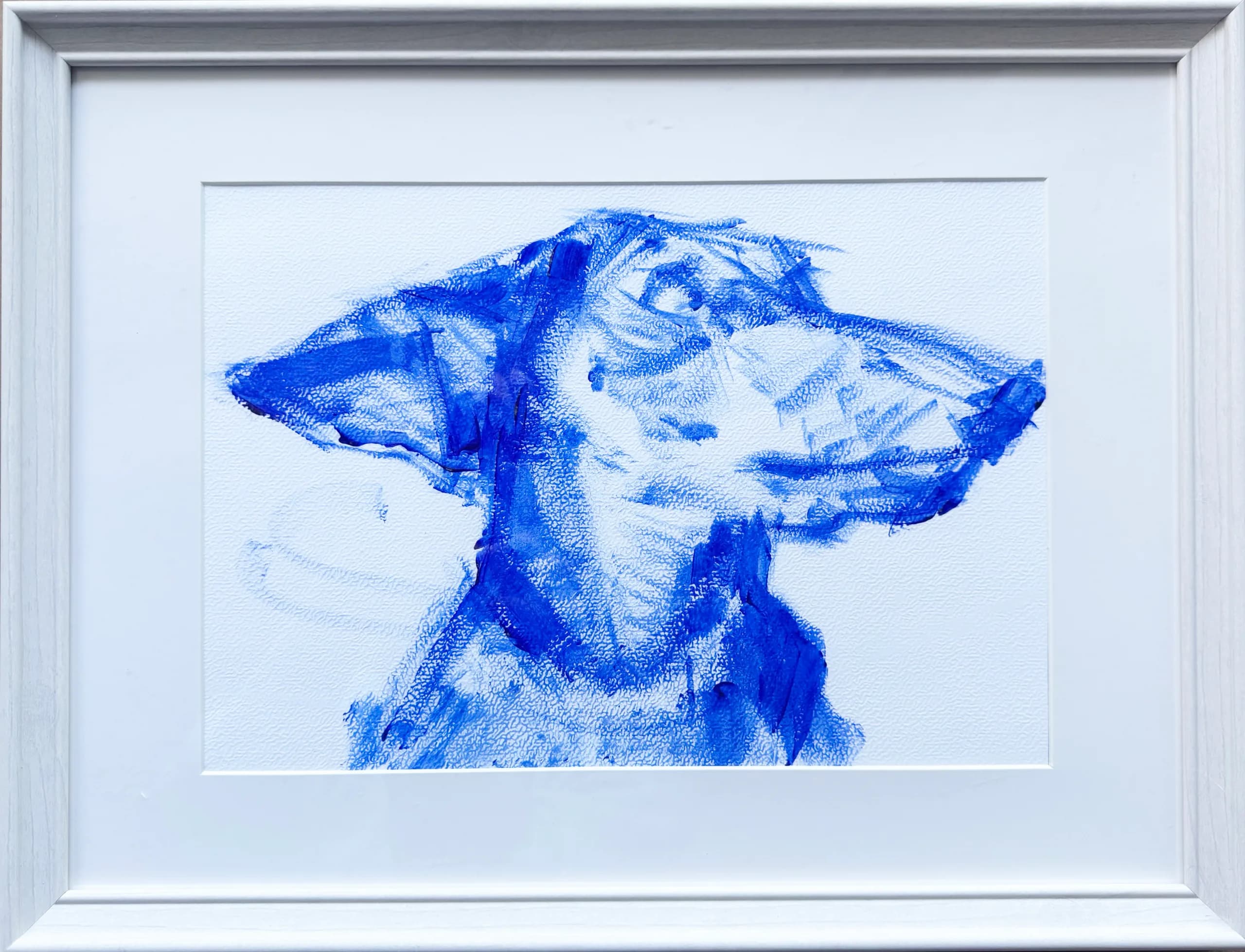 Blue dog